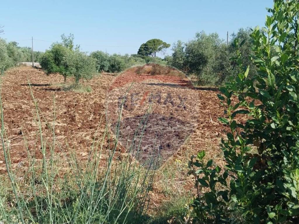Terreno a Modica in contrada Mìchelica - Foto 4