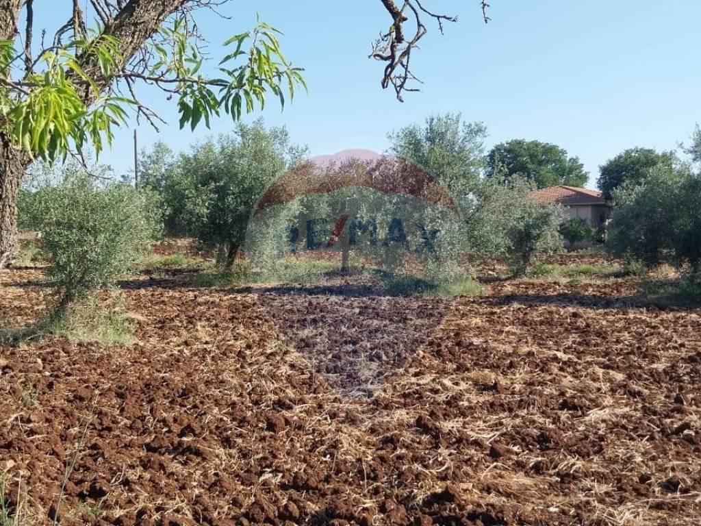 Terreno a Modica in contrada Mìchelica - Foto 5