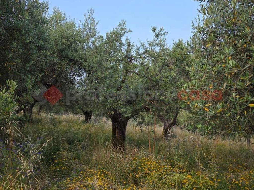 Terreno a Pistoia in Via Caloria - Foto 2
