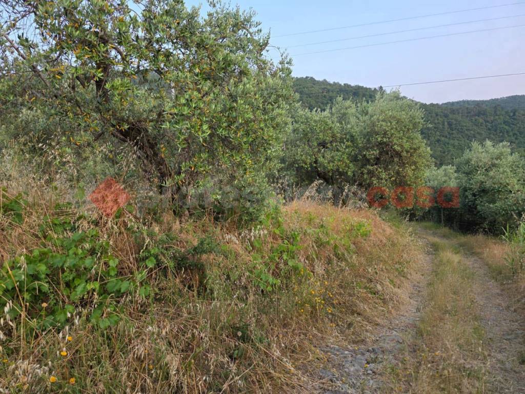 Terreno a Pistoia in Via Caloria - Foto 3