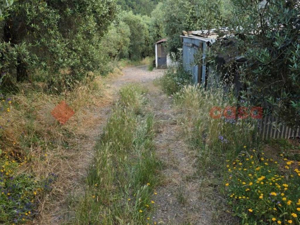 Terreno a Pistoia in Via Caloria - Foto 4
