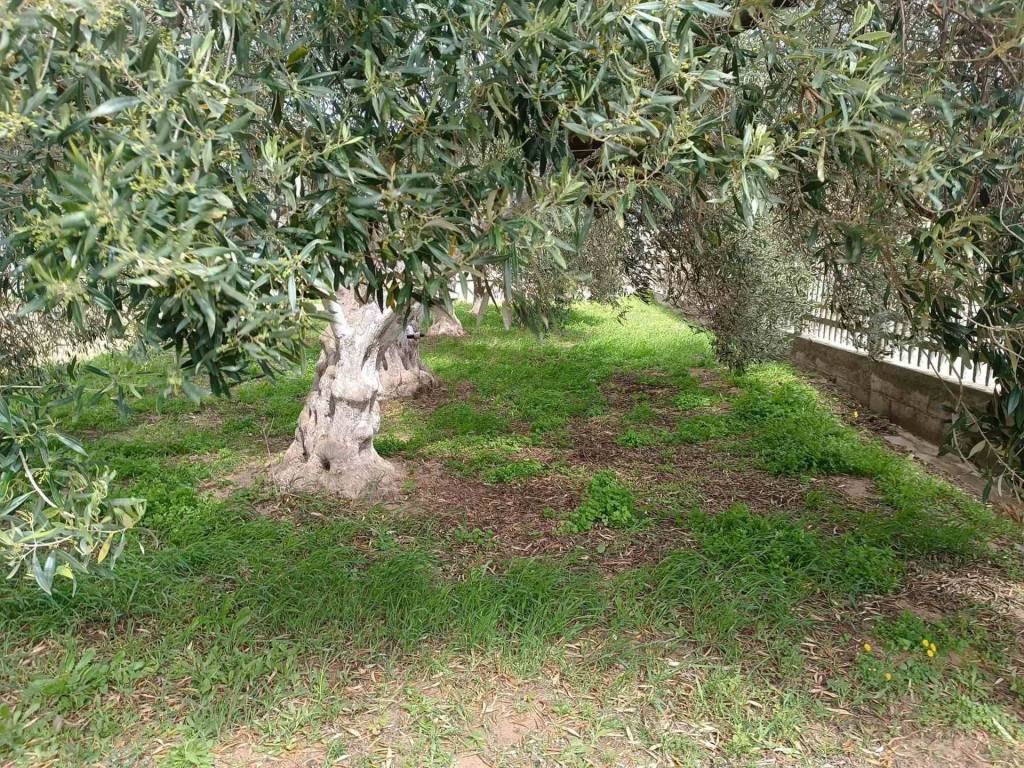 Terreno a San giovanni suergiu - Foto 2