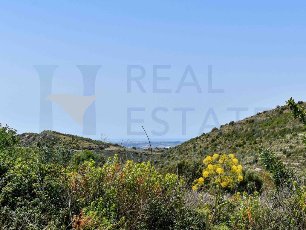 Terreno a Noto in Via Tommaso Fazello, 228 - Foto 4