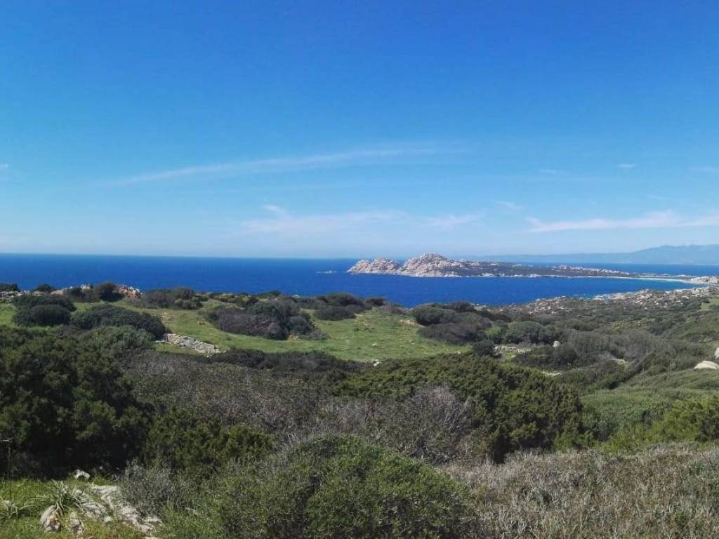 Terreno a Santa teresa gallura in SP90 - Foto 1