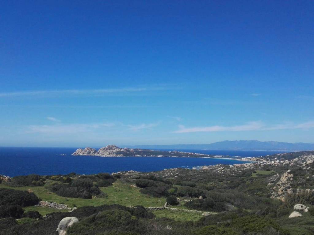 Terreno a Santa teresa gallura in SP90 - Foto 3