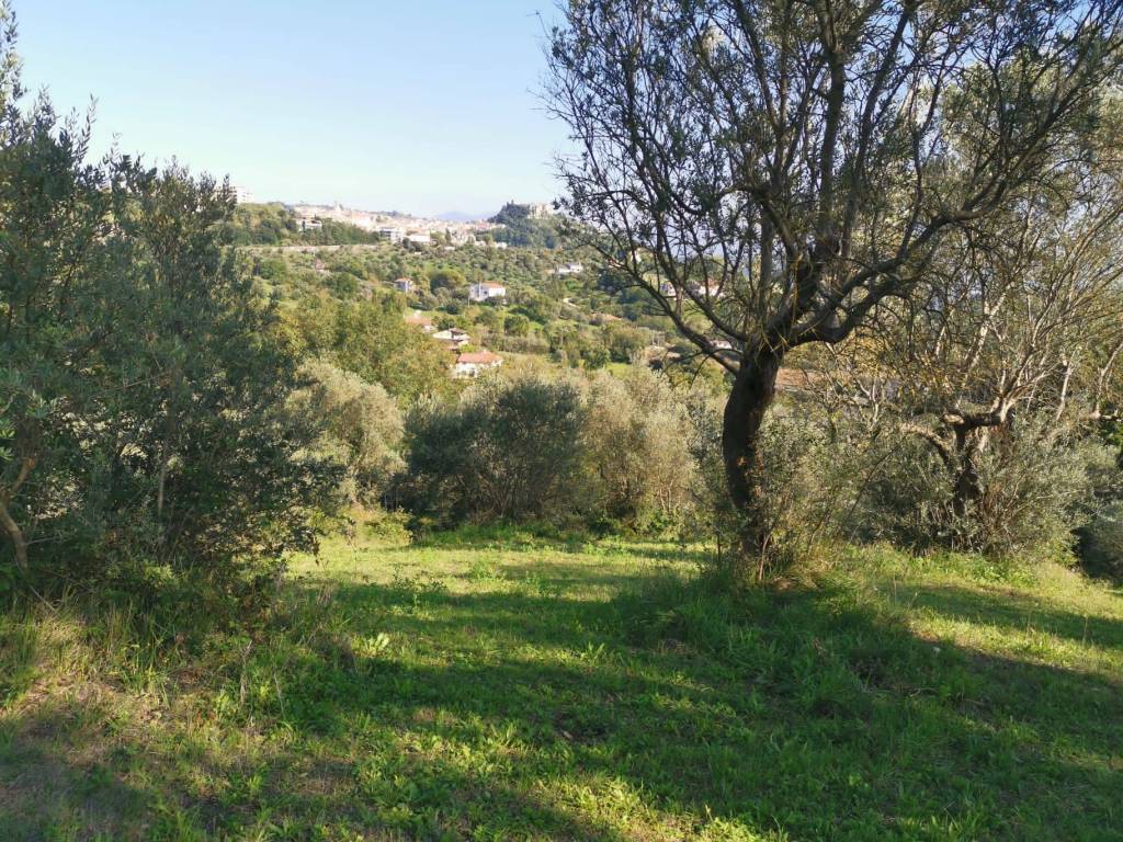 Terreno a Caiazzo in Via Papari - Foto 3