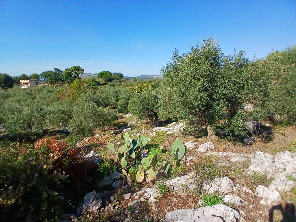 Terreno a Itri in Contrada Campanaro - Foto 2