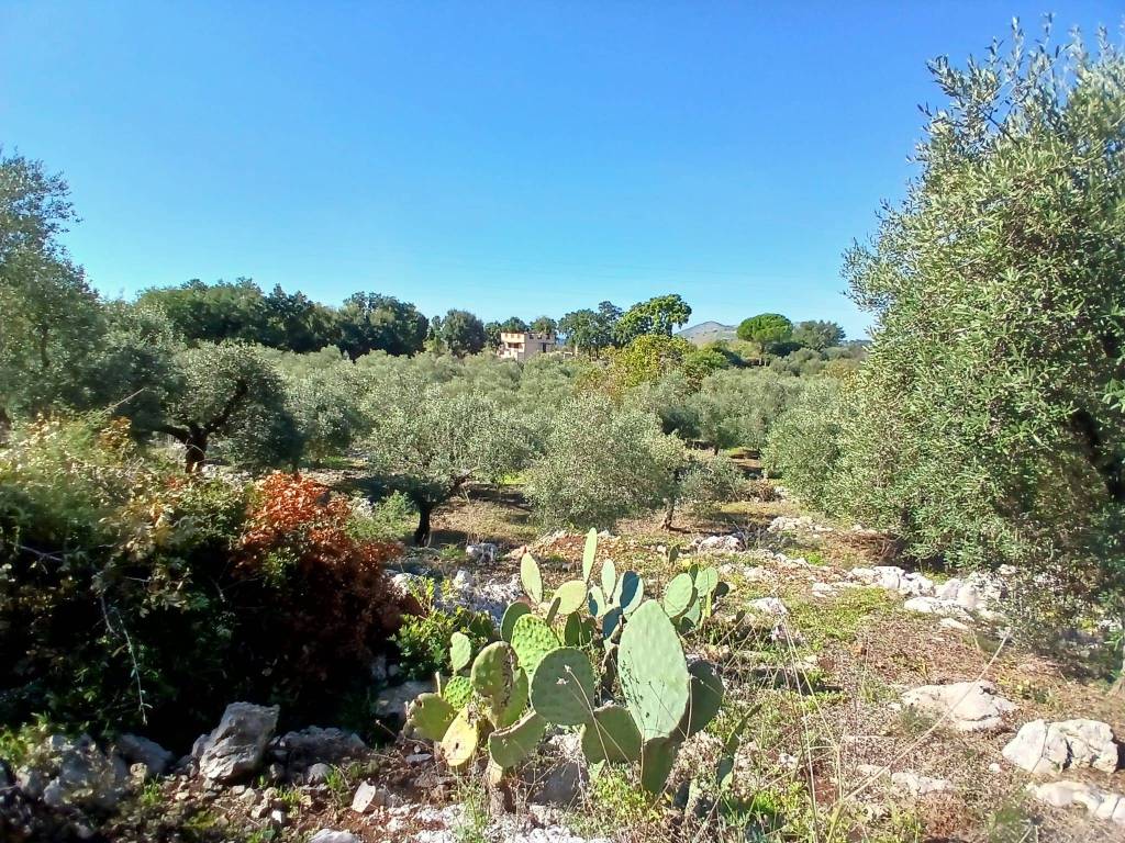 Terreno a Itri in Contrada Campanaro - Foto 4