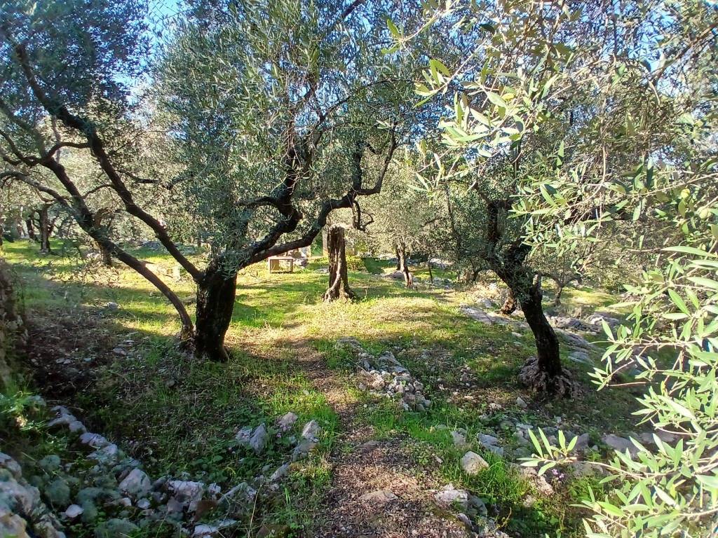 Terreno a Itri in Contrada Campanaro - Foto 5