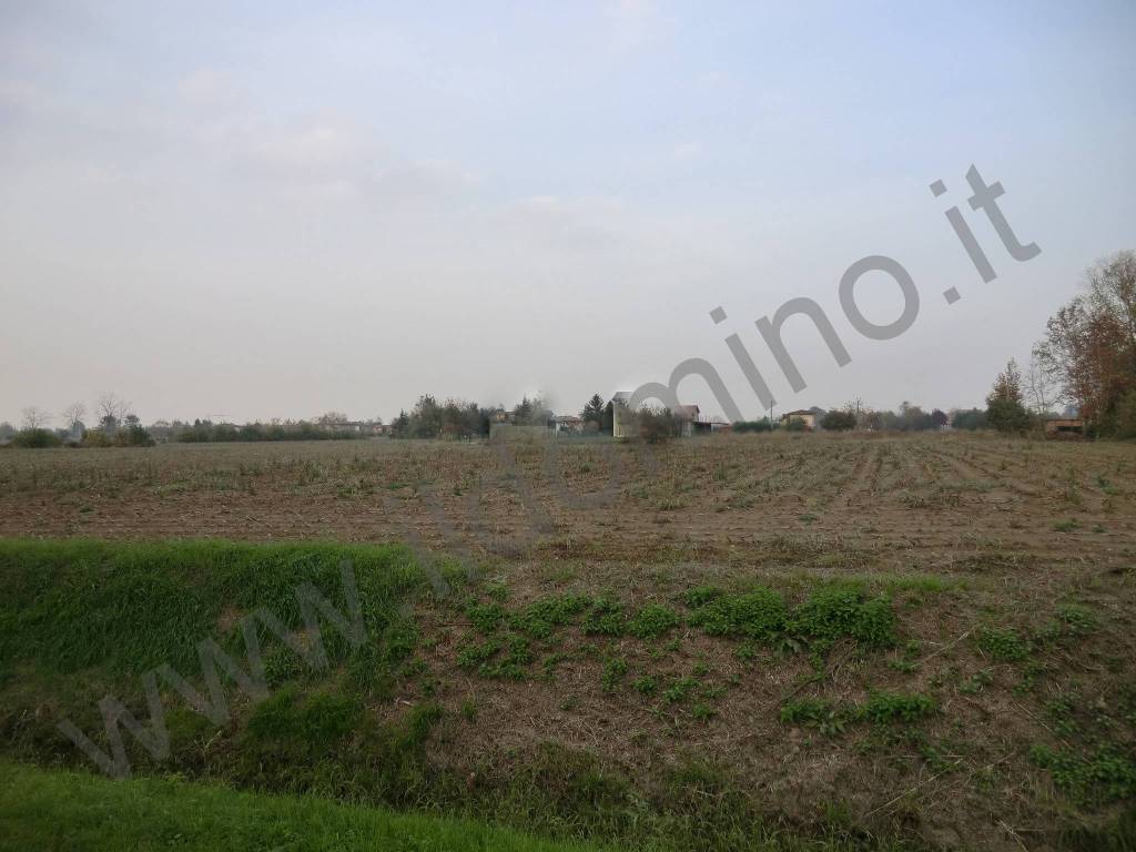 Terreno a Selvazzano dentro - Foto 2