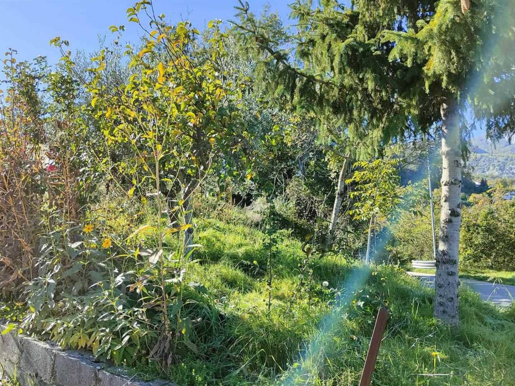 Casa indipendente a Castelvetere sul calore in STRADA STATALE 400 - Foto 3