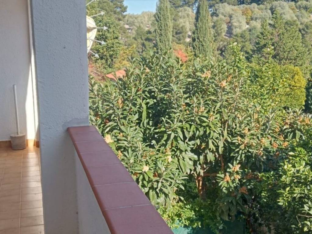 Appartamento a Vico del gargano in Via Sant'Antonio - Foto 3