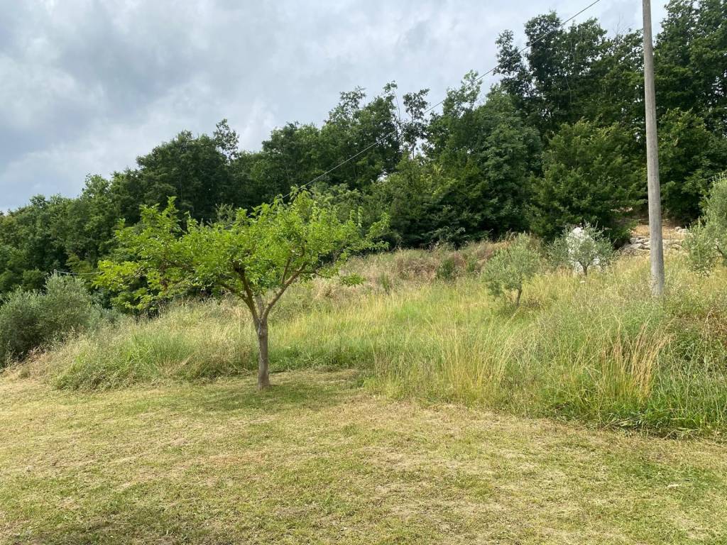 Rustico / casale a Caiazzo - Foto 3