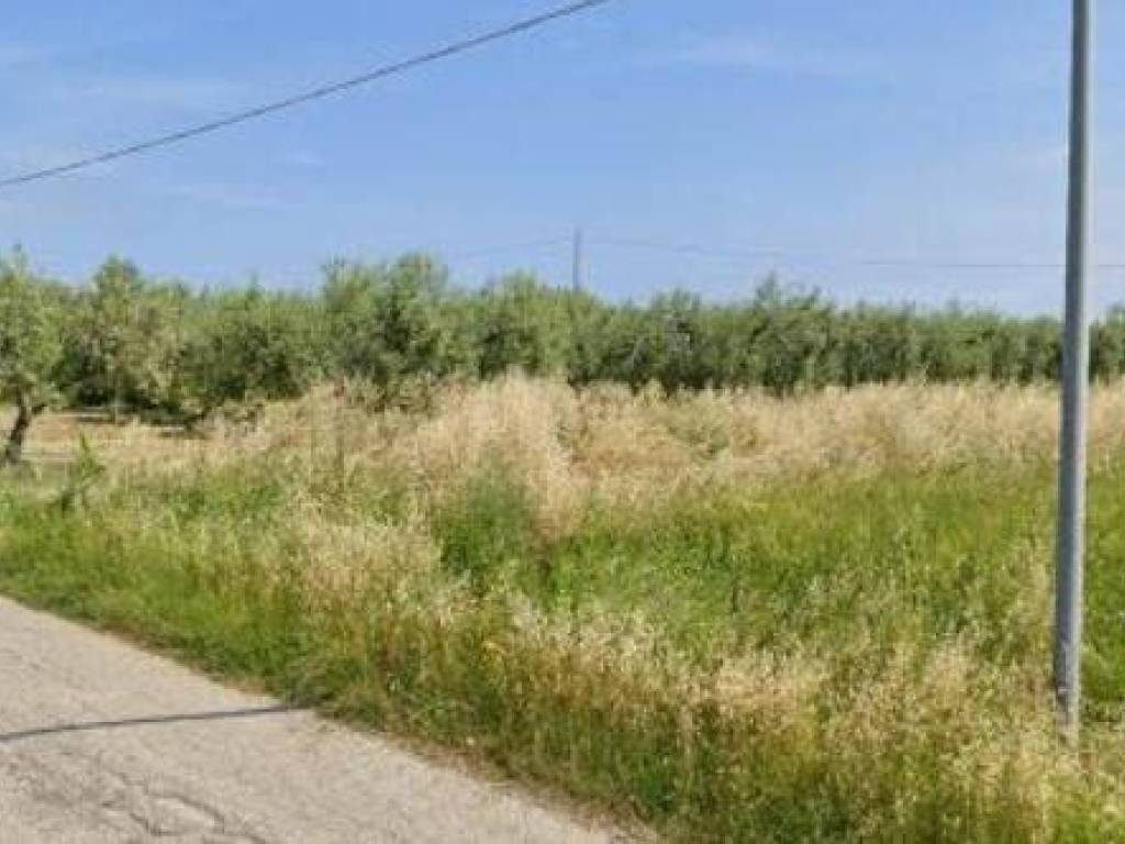 Terreno a San vito chietino in C.da Foresta - Foto 2