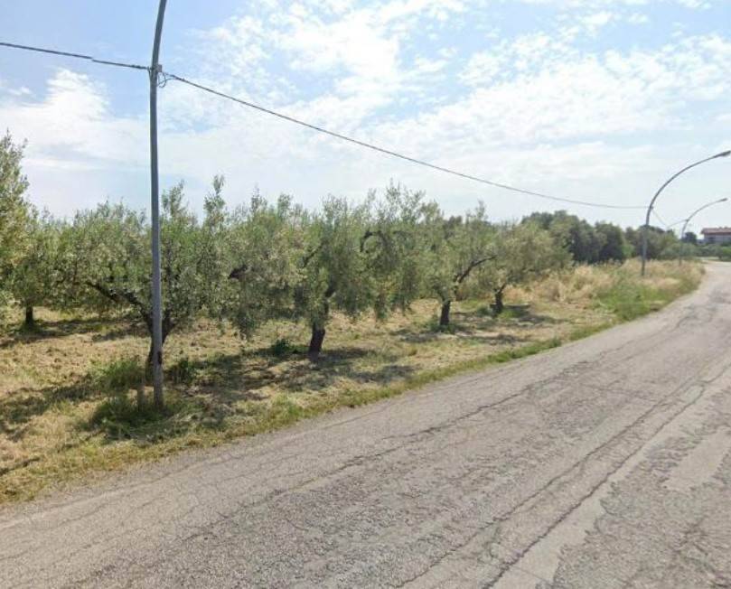 Terreno a San vito chietino in C.da Foresta - Foto 3