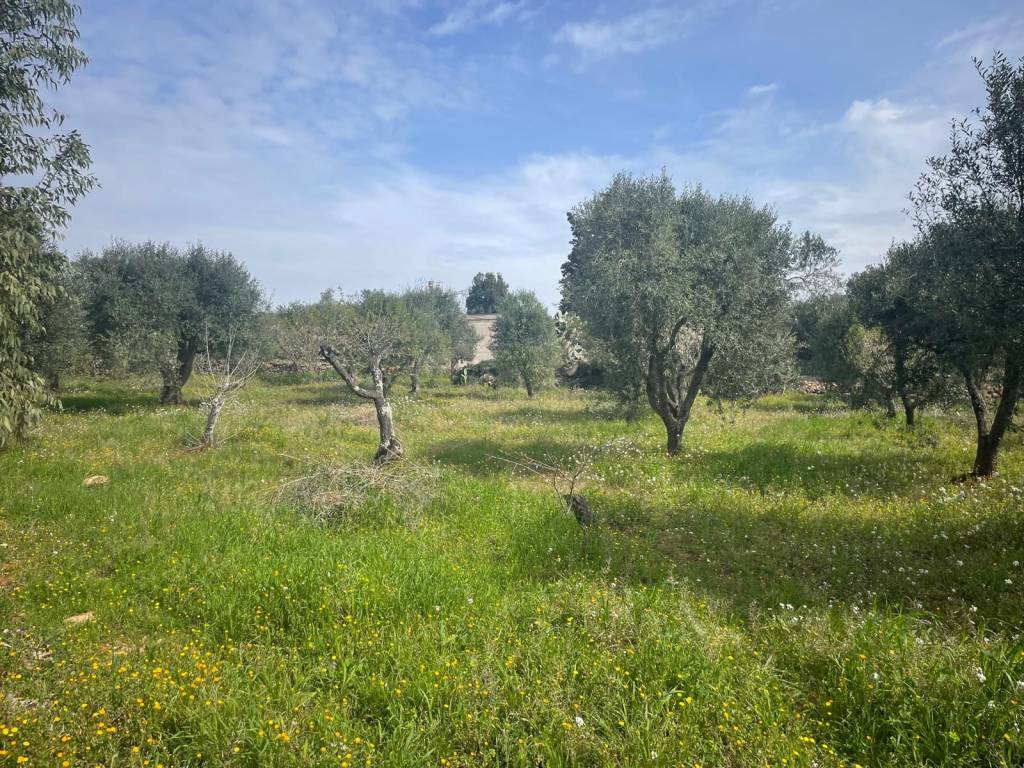 Villa a Martina franca in Strada Montefellone Zona H - Foto 3