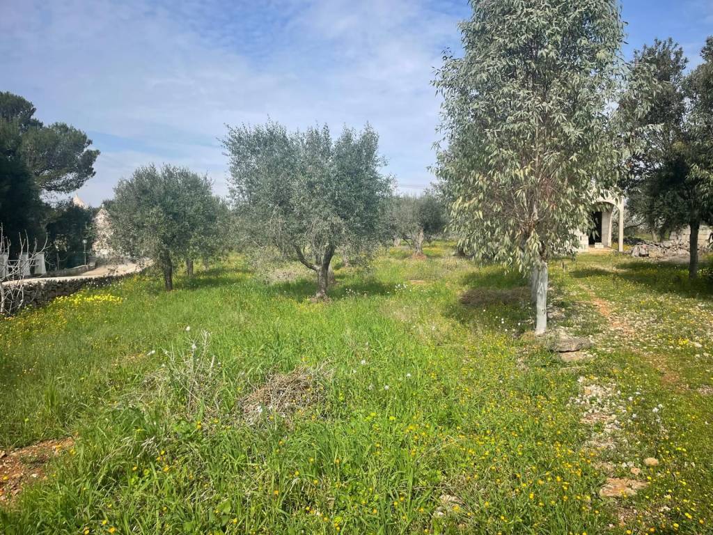 Villa a Martina franca in Strada Montefellone Zona H - Foto 5