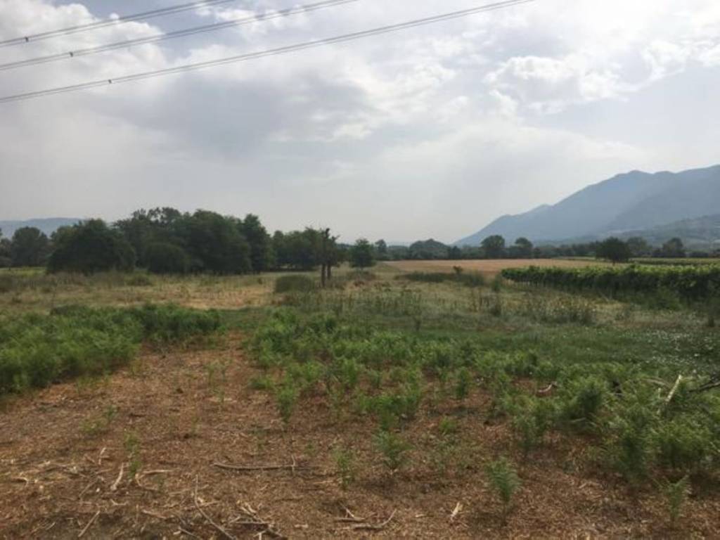 Rustico / casale a Castel campagnano - Foto 3