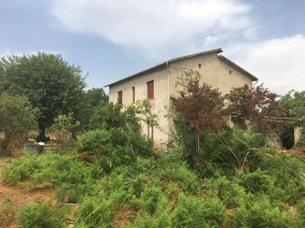 Rustico / casale a Castel campagnano - Foto 4