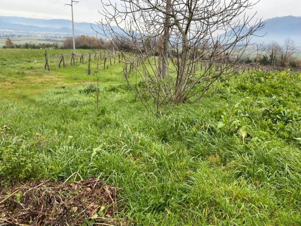 Appartamento a Ruviano in Via Crocelle s.n.c - Foto 5