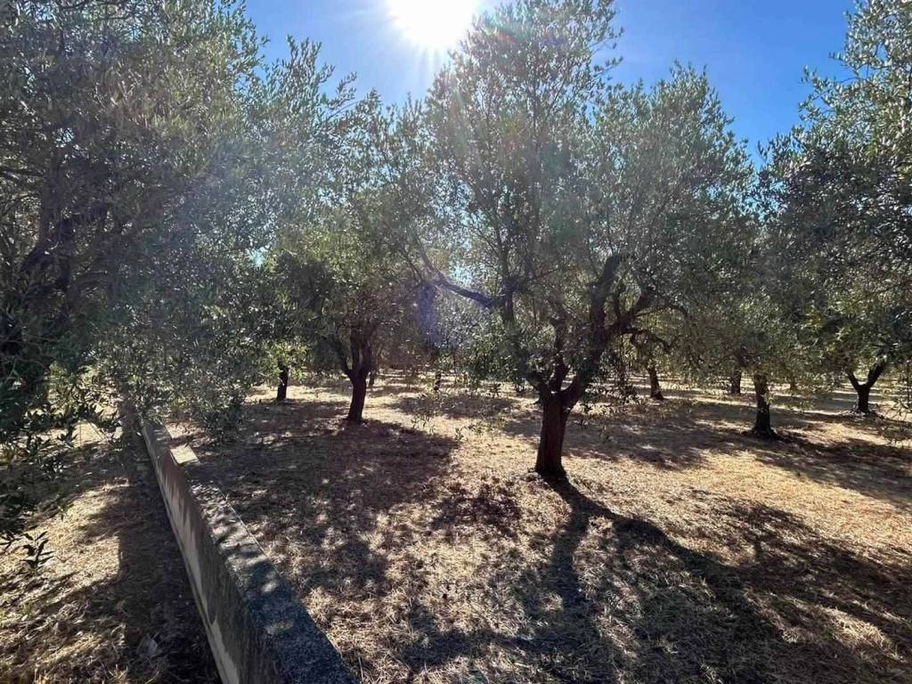 Terreno a San vito chietino in Via del Mare - Foto 5