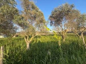 Terreno a Terracina in Via Mortacino, 38 - Foto 4
