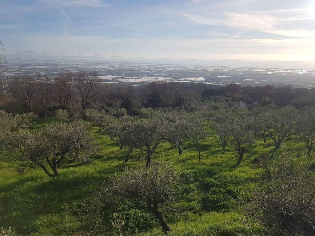 Terreno a Montecorvino pugliano in SP28b - Foto 2