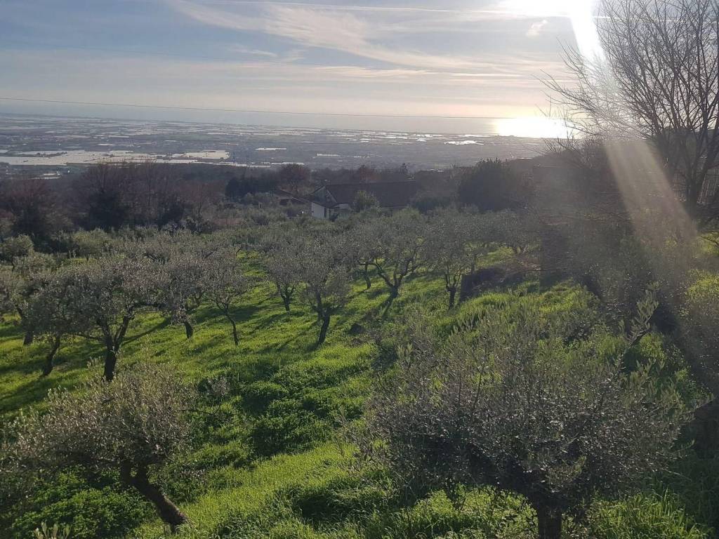 Terreno a Montecorvino pugliano in SP28b - Foto 3
