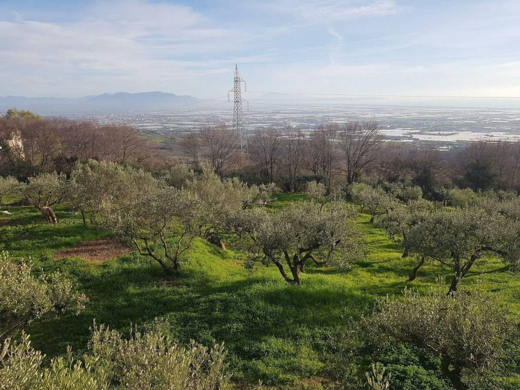 Terreno a Montecorvino pugliano in SP28b - Foto 4