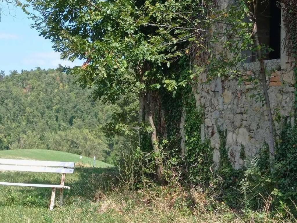 Rustico / casale a Carpineti - Foto 5