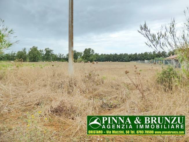 Villa a Oristano - Foto 4