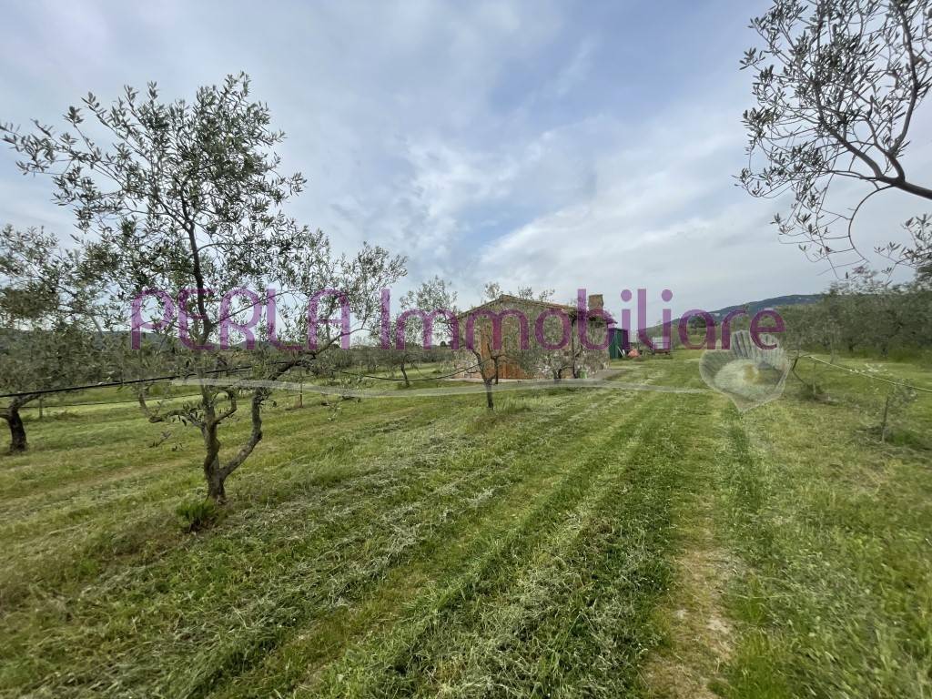 Rustico / casale a Gavorrano - Foto 2