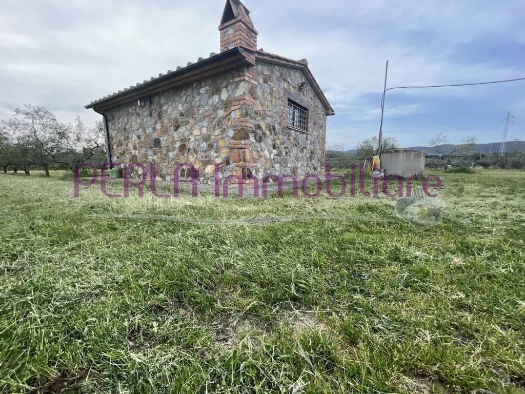 Rustico / casale a Gavorrano - Foto 3
