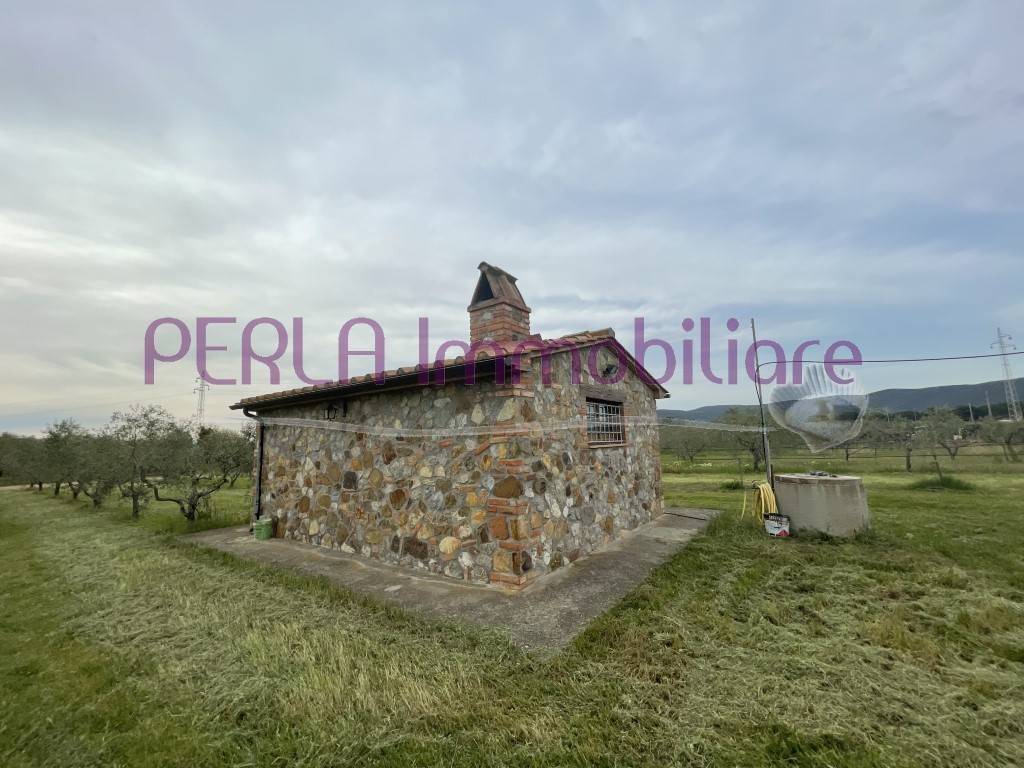 Rustico / casale a Gavorrano - Foto 4