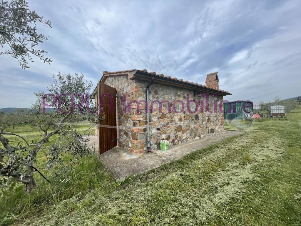 Rustico / casale a Gavorrano - Foto 5
