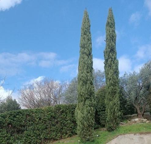 Attico / mansarda a Carmignano - Foto 5