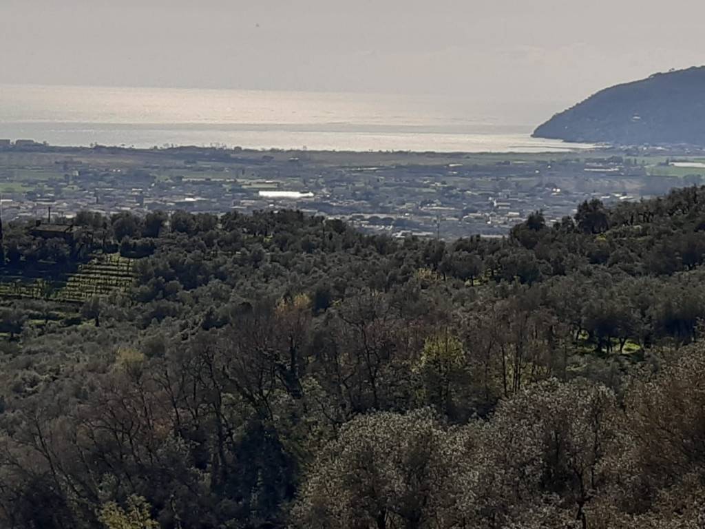 Villa a Sarzana in Via Fratta - Foto 5