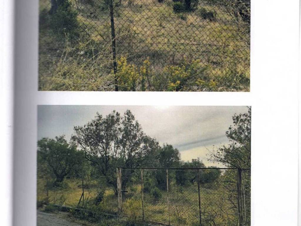 Terreno a Capaccio paestum - Foto 3