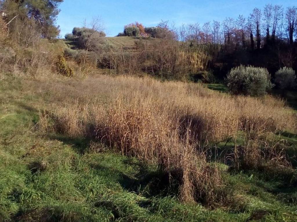Terreno a Ascoli piceno - Foto 2