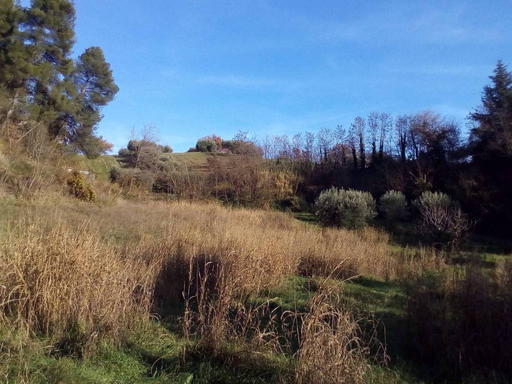 Terreno a Ascoli piceno - Foto 3
