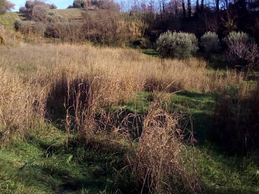 Terreno a Ascoli piceno - Foto 4