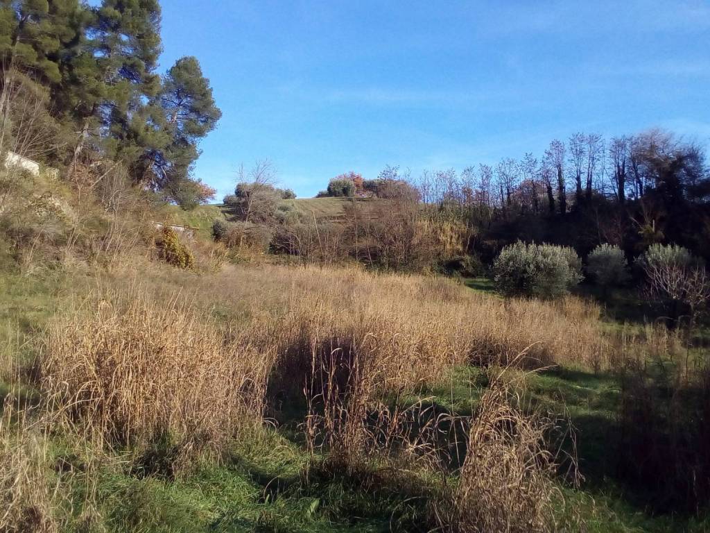 Terreno a Ascoli piceno - Foto 5