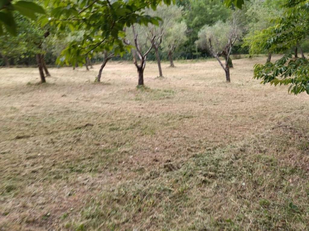 Rustico / casale a Maenza - Foto 5