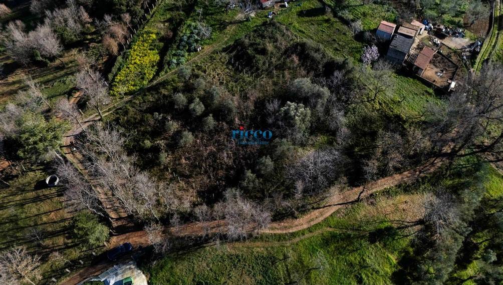 Terreno a Camerota in Via Buico - Foto 2