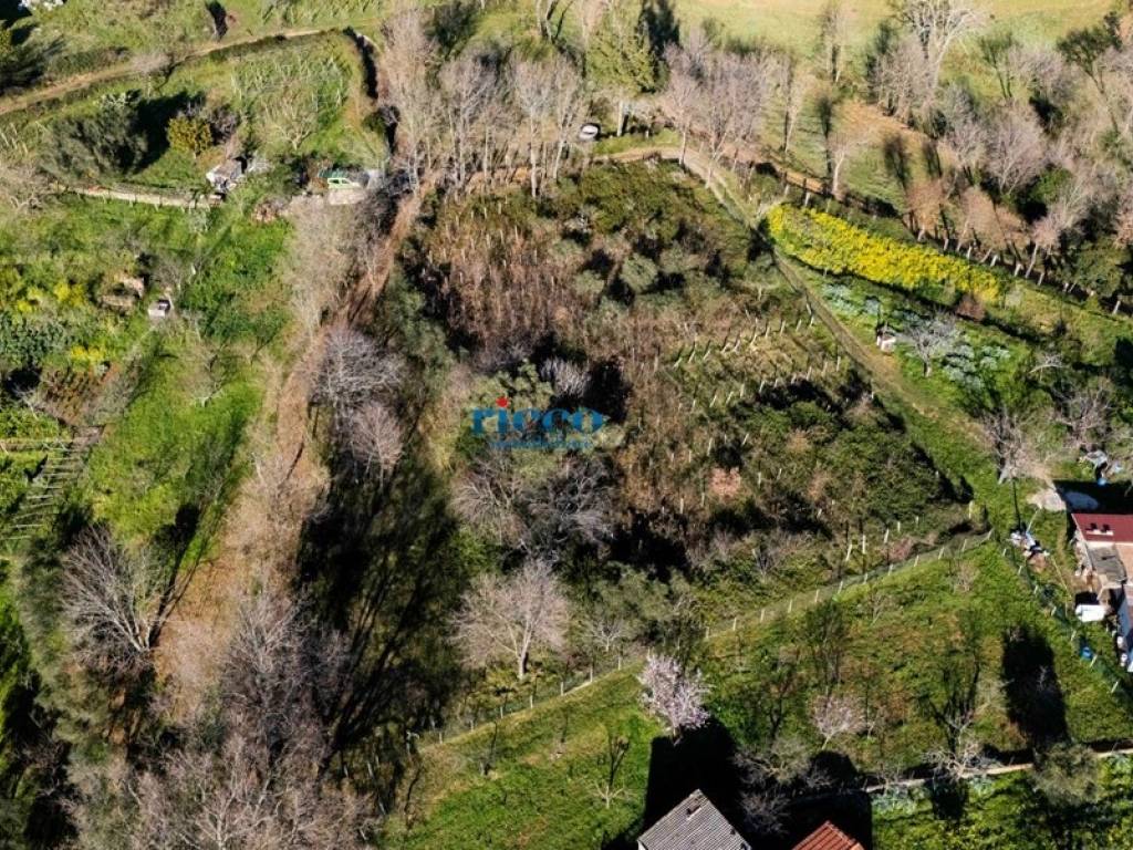 Terreno a Camerota in Via Buico - Foto 3