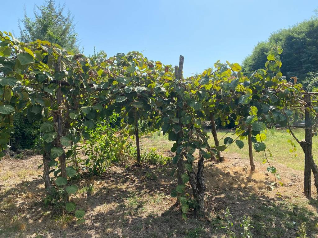 Rustico / casale a Caiazzo - Foto 4