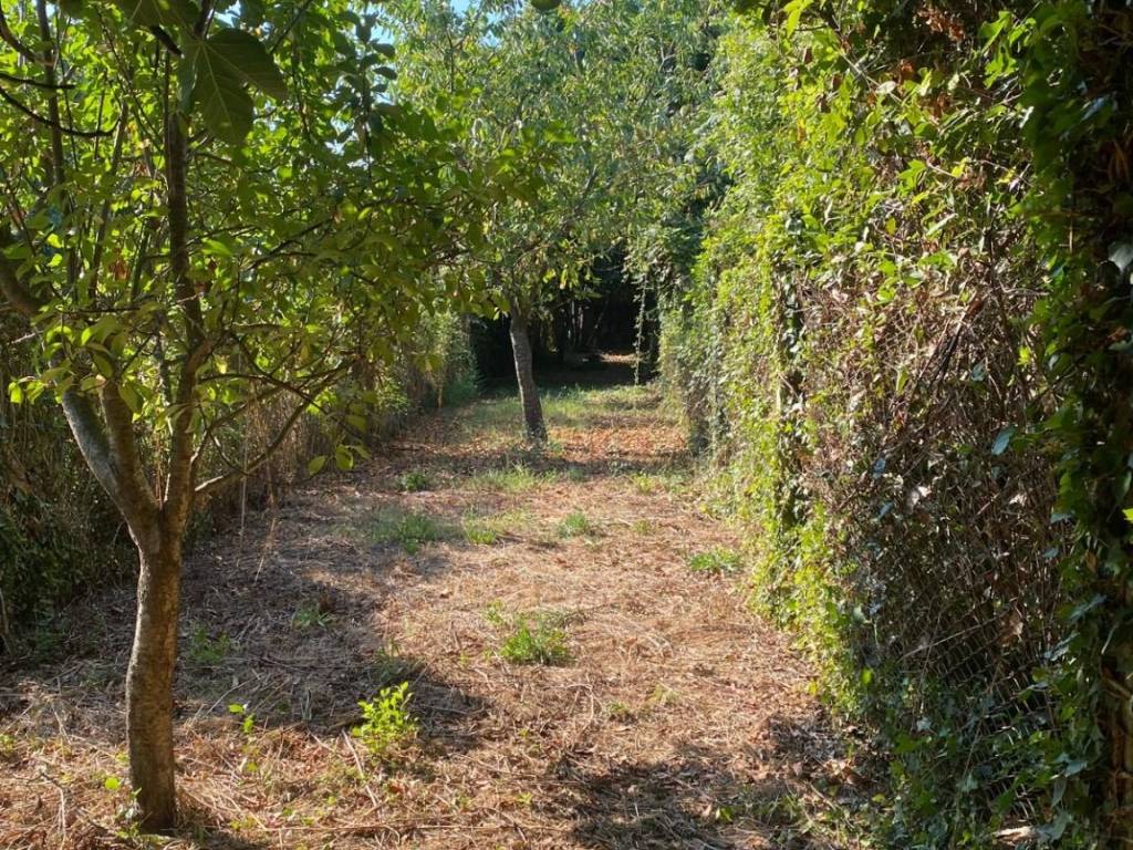 Casa indipendente a Amorosi - Foto 4