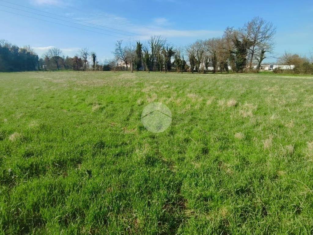 Terreno a Villa santa lucia in Via lupitti - Foto 3