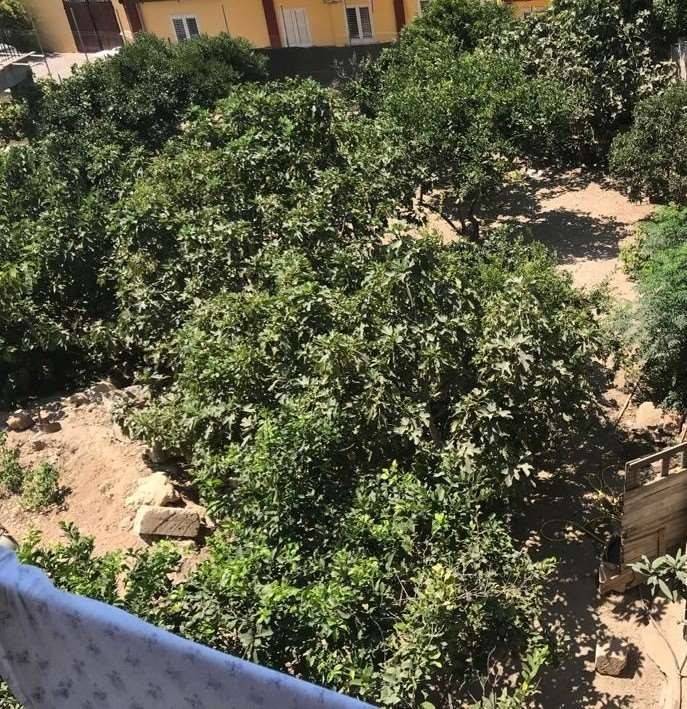 Appartamento a Lampedusa e linosa in Via Andrea Doria - Foto 4