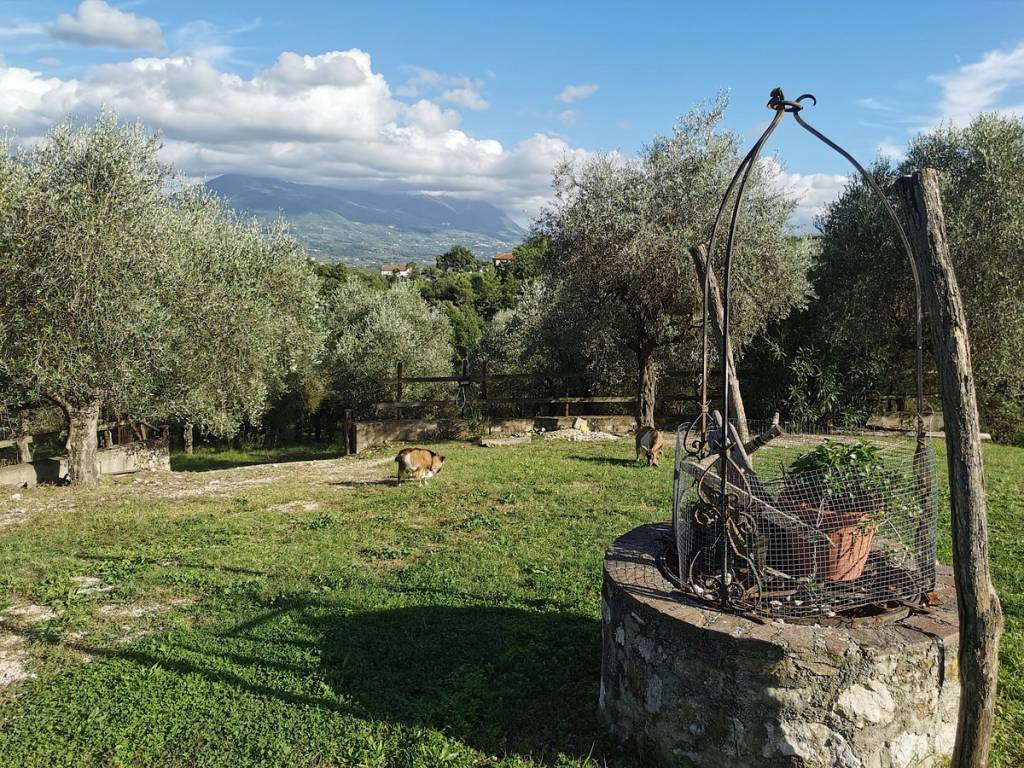 Rustico / casale a Castel campagnano - Foto 3